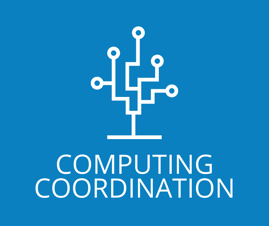 Computing Coordination