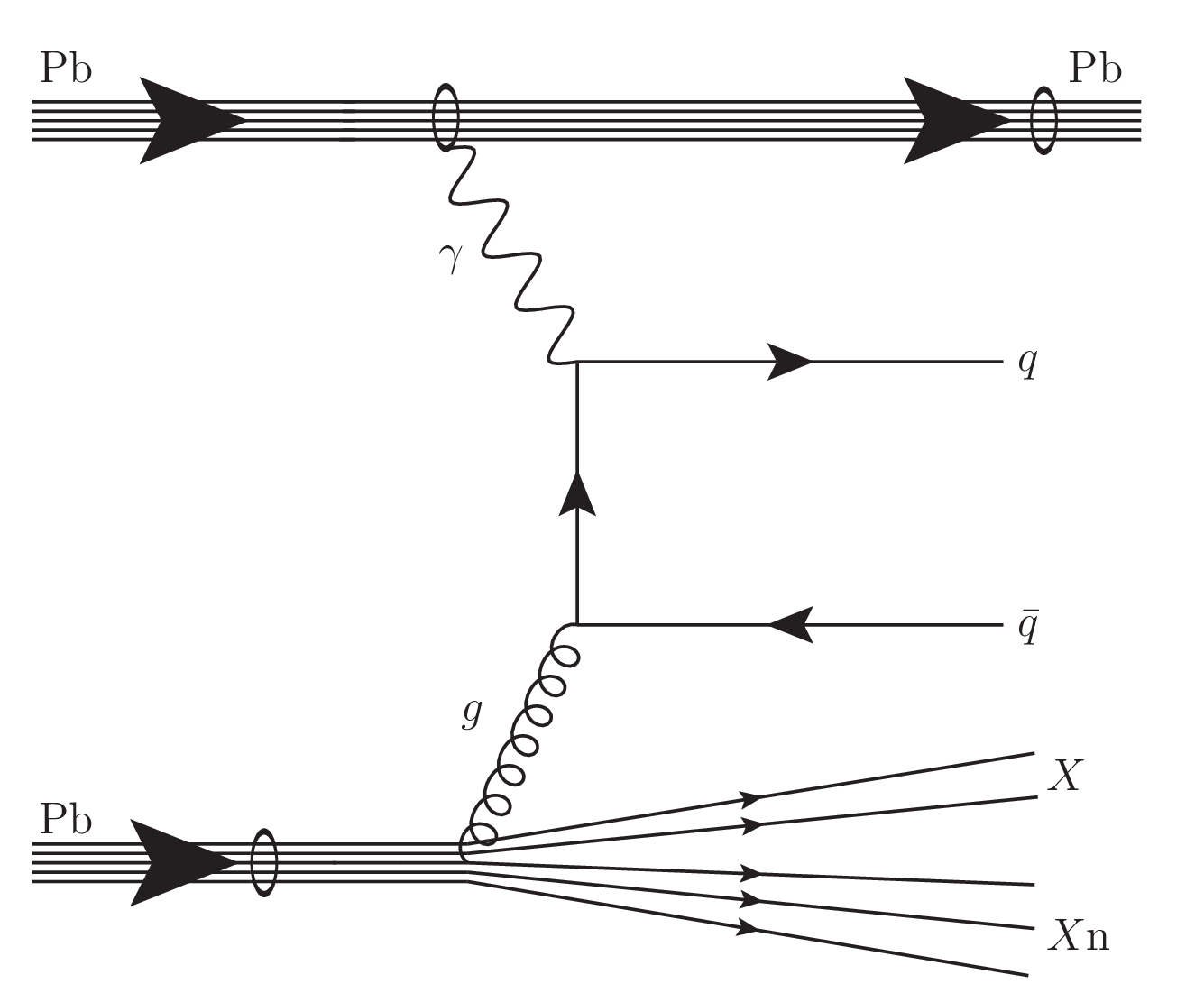 fig1