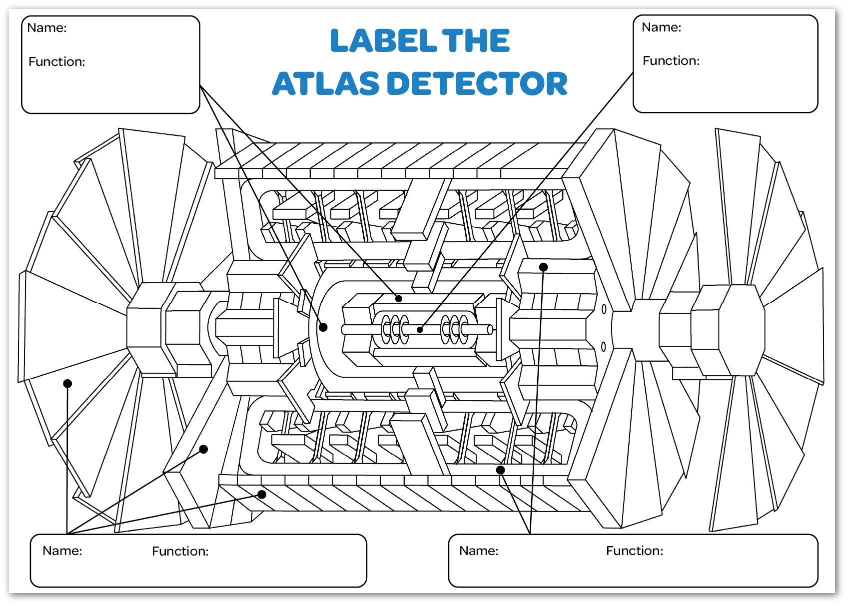 Label the Detector