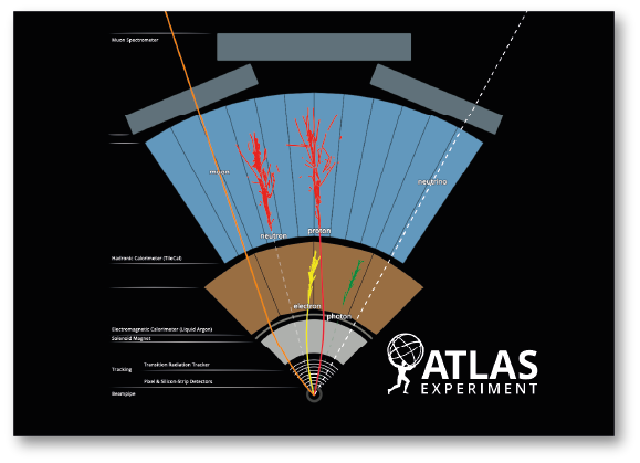 How ATLAS detects particles (video)